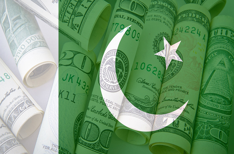 Pakistan observes International Day of Family Remittances